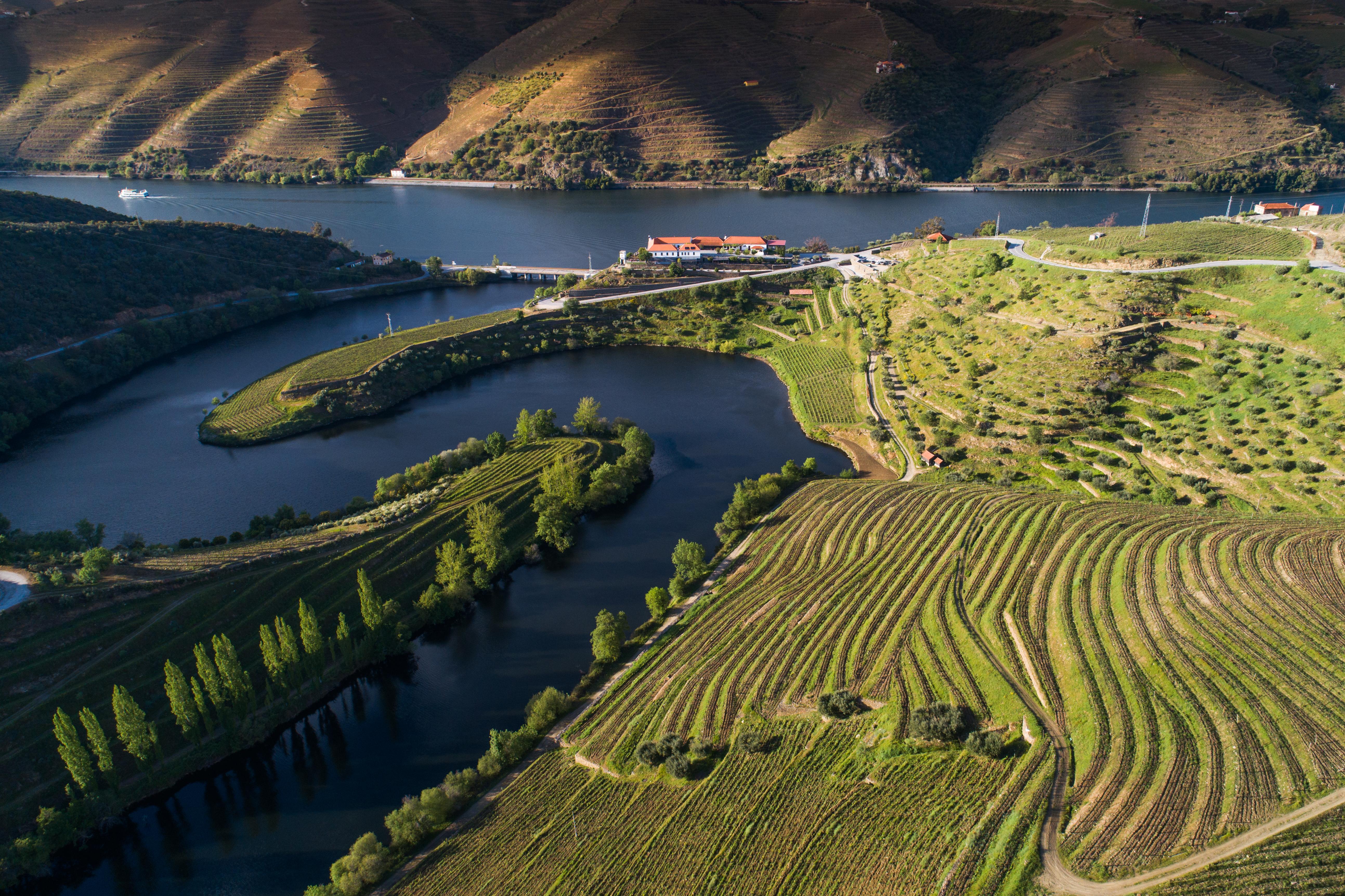 Vila Gale Douro Vineyards Armamar Ngoại thất bức ảnh