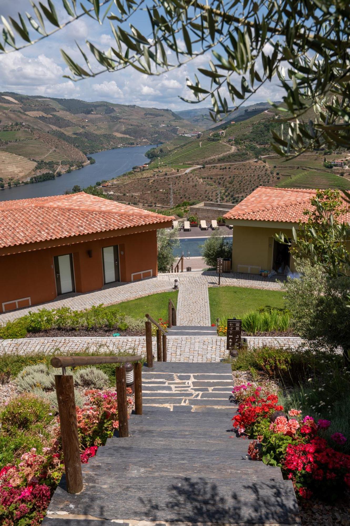 Vila Gale Douro Vineyards Armamar Ngoại thất bức ảnh